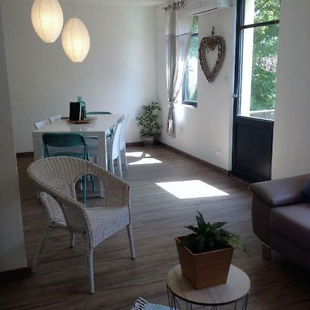 Au Vieux Lavoir Avec Parking Prive, Jardin , Climatisation, A 500 M De La Cite Carcassonne Exterior foto