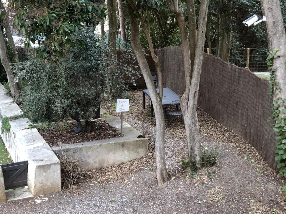 Au Vieux Lavoir Avec Parking Prive, Jardin , Climatisation, A 500 M De La Cite Carcassonne Exterior foto