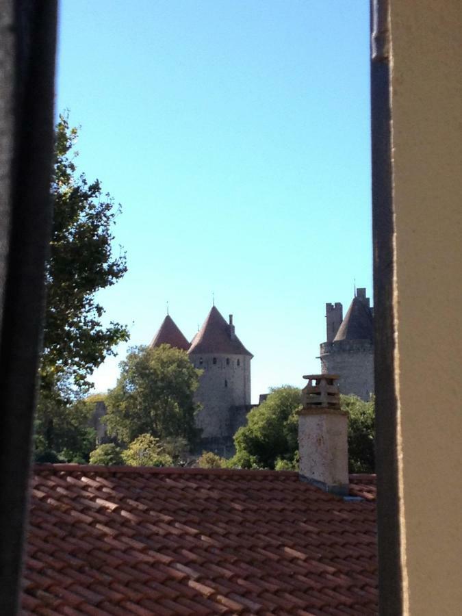 Au Vieux Lavoir Avec Parking Prive, Jardin , Climatisation, A 500 M De La Cite Carcassonne Exterior foto