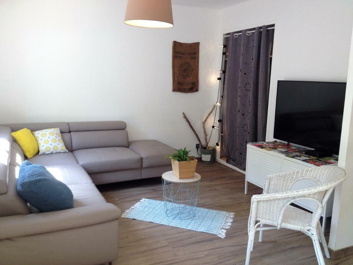 Au Vieux Lavoir Avec Parking Prive, Jardin , Climatisation, A 500 M De La Cite Carcassonne Exterior foto