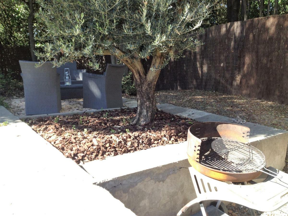 Au Vieux Lavoir Avec Parking Prive, Jardin , Climatisation, A 500 M De La Cite Carcassonne Exterior foto