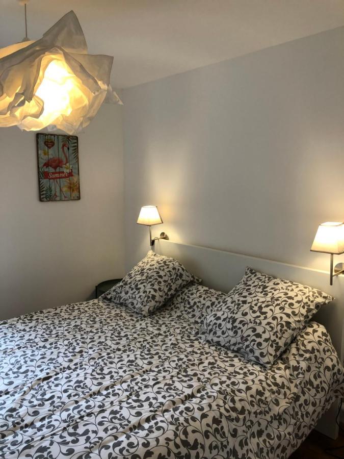 Au Vieux Lavoir Avec Parking Prive, Jardin , Climatisation, A 500 M De La Cite Carcassonne Exterior foto