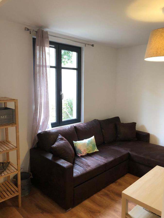 Au Vieux Lavoir Avec Parking Prive, Jardin , Climatisation, A 500 M De La Cite Carcassonne Exterior foto